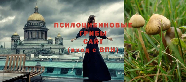 spice Заволжье