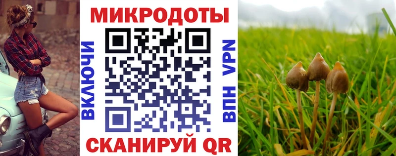 Купить  Николаевск-на-Амуре  Галлюциногенные грибы Magic Shrooms 